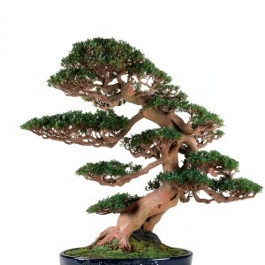 Japanese Garden Design with Container Gardening Techniques by Tuttle-0