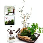 Japanese Garden Shade Guide Kindle eBook by Tuttle Publishing-0