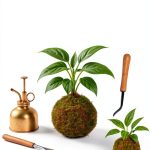 Japanese Garden Design for Beginners: A Step-by-Step Guide-0