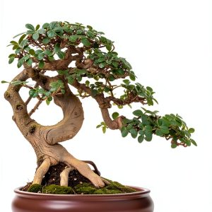 Japanese Garden Kindle eBook – 180‑Page Zen Landscaping Guide-0