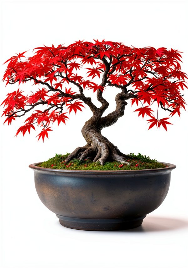 Japanese Garden Kindle eBook Design Guide by GreenThumb Press-0