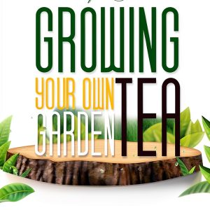 Gardening for Beginners: A Japanese Garden Guide-0