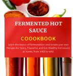 African Caribbean Cooking Recipes Kindle eBook by Chef XYZ-0