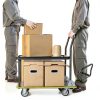 Heavy Duty Push Cart Dolly by Gioventù 700 lb Foldable Platform Truck-3